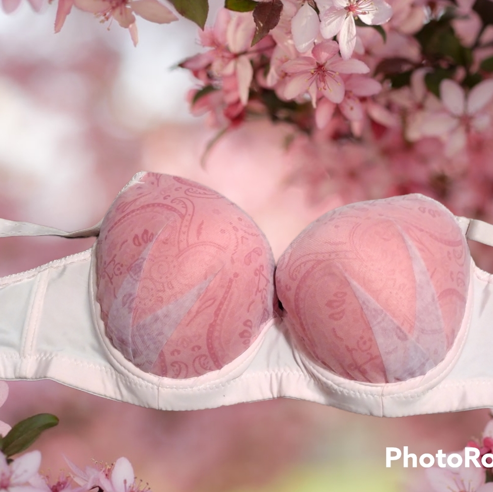 Brand New Bras - Picture 1 of 5